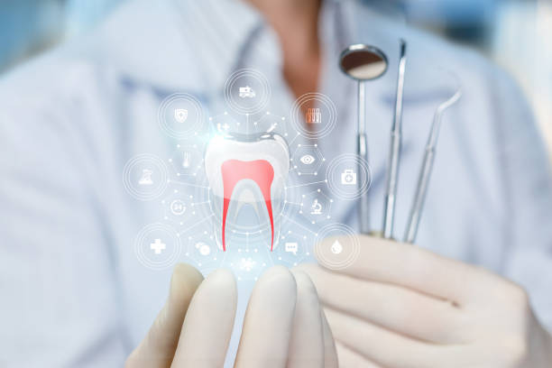 Best Dental Exams and Cleanings  in Forestville, MD